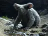 nineanon's Avatar